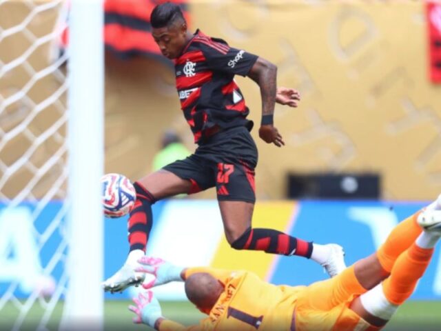 Foto: Gilvan de Souza/Flamengo