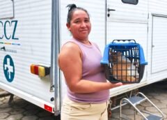 CASTRAMÓVEL OFERECE 150 VAGAS PARA CÃES E GATOS EM MANAUS