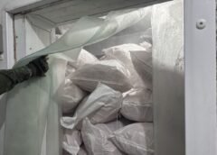 IPAAM VAI ACIONAR MPAM APÓS FISCALIZAÇÃO IDENTIFICAR IRREGULARIDADES EM FRIGORÍFICO DE PESCADOS DE MANACAPURU