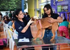 CASTRAMÓVEL DA SEPET ABRE AGENDAMENTO PARA CASTRAÇÃO GRATUITA NO BAIRRO EDUCANDOS, EM MANAUS