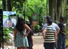 ANIVERSÁRIO DO BOSQUE DA CIÊNCIA DO INPA COMEMORA 31 ANOS COM EXPOSIÇÕES