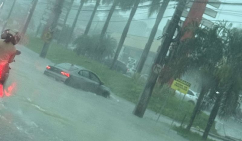 (Foto: Reprodução)