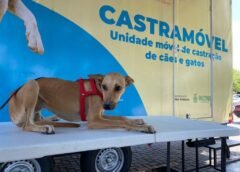 SHOPPING PONTA NEGRA PROMOVE AÇÃO DE ADOÇÃO E VACINAÇÃO DE ANIMAIS