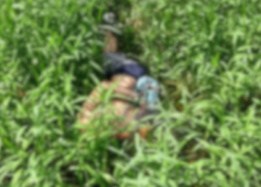 CORPO ENCONTRADO EM ÁREA DE MATA EM MANACAPURU É IDENTIFICADO PELA POLÍCIA