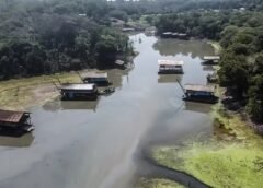 ESTUDO REVELA EVOLUÇÃO DO GARIMPO ILEGAL E NOVAS TÁTICAS DE EXPLORAÇÃO