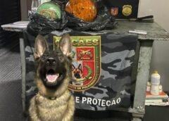 BASE ARPÃO 2: PMAM APREENDE MAIS DE 23KG DE PASTA-BASE DE COCAÍNA ESCONDIDOS EM CILINDROS FRIGORÍFICOS