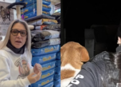EX-SECRETÁRIA E VETERINÁRIOS SÃO PRESOS POR SUSPEITA DE EUTANÁSIAS IRREGULARES EM ANIMAIS RESGATADOS