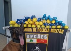 FORÇAS DE SEGURANÇA APREENDEM MAIS DE 21 KG DE COCAÍNA EM OPERAÇÃO NO AM