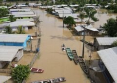CHEIA NO AMAZONAS: FVS ALERTA PARA AUMENTO DE DOENÇAS E ACIDENTES COM ANIMAIS PEÇONHENTOS