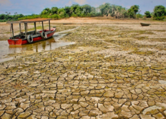 EL NIÑO ELEVA RISCO DE SECA NO AMAZONAS, MAS INTENSIDADE AINDA DEPENDE DA EVOLUÇÃO DAS CHUVAS