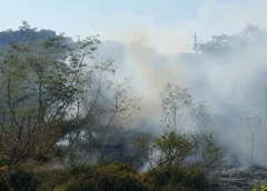 INCÊNDIO EM ÁREA DE MATA ESPALHA FUMAÇA E PREOCUPA MORADORES NO SÃO RAIMUNDO, EM MANAUS