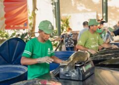 FEIRA OFERTA TAMBAQUI POR R$ 11 O QUILO EM MANAUS NESTE SÁBADO