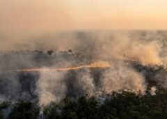 BOMBEIROS COMBATEM INCÊNDIO HÁ TRÊS DIAS NO CAREIRO CASTANHO