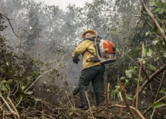 INPE AFIRMA QUE MAIORIA DOS INCÊNDIOS NO AMAZONAS OCORRE EM ÁREAS COM CADASTRO RURAL